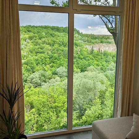 Сottage "Family Estate" Villa Kamianets-Podilskyi Luaran gambar